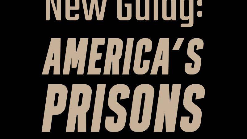 New Gulag