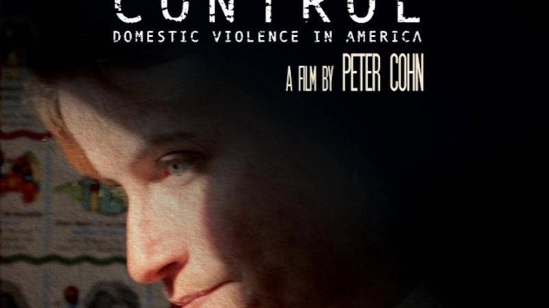 Power and Control: Domestic Violence in America