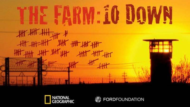 Farm, The: 10 Down