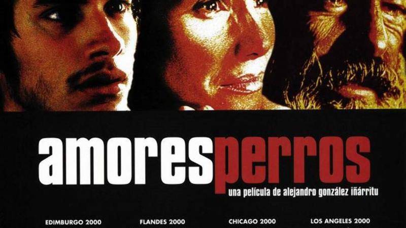 Amores Perros