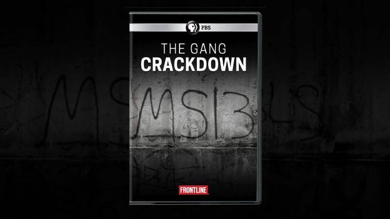 The Gang Crackdown